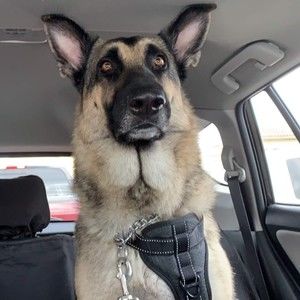 Meet your Posher, Hannah